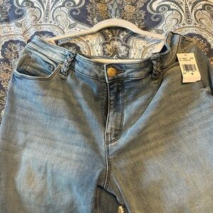 Kut from the Kloth Light Blue Women's Jeans NWT Ana flare